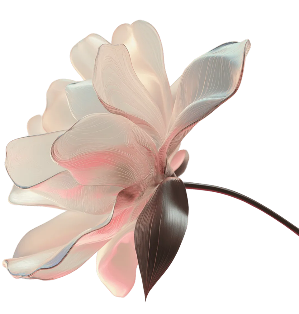 David del Cura — Product Designer, visual principal